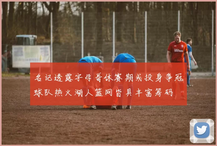 名记透露字母哥休赛期或投身争冠球队热火湖人篮网皆具丰富筹码